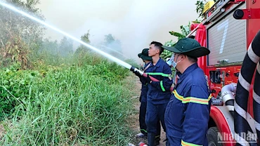 Lực lượng chức năng tiếp tục phun nước dập cháy ngún tại Nông trường 402 vào sáng 11/4.