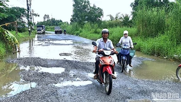 Tuyến đường Mậu Thân trong nội ô thành phố Cà Mau xuống cấp trầm trọng và thường xuyên bị ngập nước.