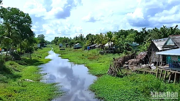 Một tuyến kênh ở vùng ngọt huyện Trần Văn Thời đang khô cạn dần theo nắng hạn.