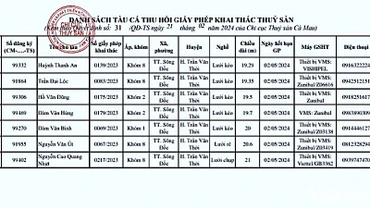 Danh sách 7 tàu cá vi phạm bị ngành chức năng Cà Mau thu hồi giấy phép hoạt động.