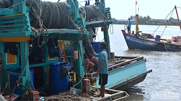 Các tàu cá Kiên Giang bị tấn công đang neo đậu, sửa chữa tại miền biển Sông Đốc (huyện Trần Văn Thời, tỉnh Cà Mau).