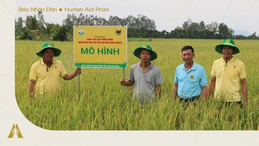Canh tác lúa thông minh ở Đồng bằng sông Cửu Long
