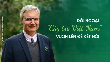 Đối ngoại “cây tre Việt Nam” - vươn lên để kết nối