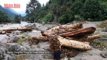 [Video] Lũ ống bất ngờ tại Sa Pa, 7 người chết và mất tích