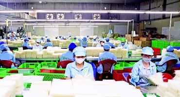 Dây chuyền sản xuất bánh tráng thành phẩm của Công ty TNHH Tân Nhiên, tỉnh Tây Ninh. (Ảnh: TTXVN)