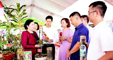 Lãnh đạo tỉnh Lai Châu khảo sát các mô hình phát triển kinh tế tại địa phương.