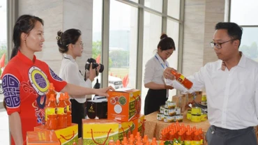Một số sản phẩm OCOP của Lào Cai.