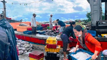 Chuyến cập bờ cuối cùng của ngư dân Thuận An (thành phố Huế) trước khi bão số 4 đổ bộ vào đất liền.