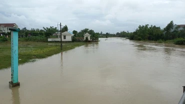 Trên các sông ở tỉnh Quảng Ngãi có khả năng xuất hiện một đợt lũ mới.