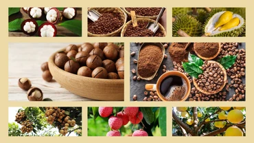 Hướng đến mục tiêu 10.000 sản phẩm OCOP năm 2025