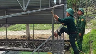 Cán bộ, chiến sĩ Đồn Biên phòng Ra Mai chằng buộc mái tôn cho trường mầm non xã Trong Hóa, huyện Minh Hóa. 