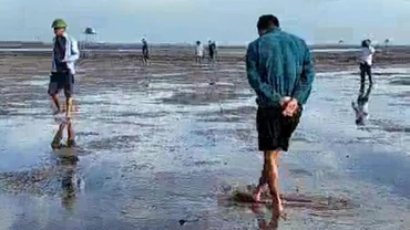 Các cơ quan chức năng của huyện Thái Thụy và lãnh đạo xã Thái Đô (tỉnh Thái Bình) đi kiểm tra ngao chết ngày 11/9. (Ảnh cắt từ clip)