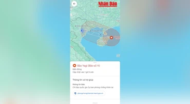 [Video] Theo dõi siêu bão Yagi trên ứng dụng Google Maps
