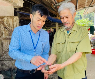Ông Vũ Hà Tiến (bên trái) chia sẻ cách chăm sóc ba ba thương phẩm.