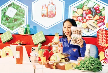Livestream bán hàng của chủ thể sản phẩm trong phiên chợ OCOP thanh niên. 
