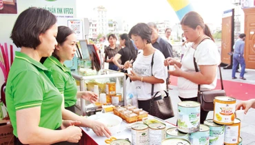 Nhiều sản phẩm OCOP của Công ty cổ phần Xuất nhập khẩu VIFOCO đáp ứng tiêu chuẩn xuất khẩu. 