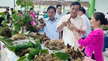 Lễ hội Sâm Ngọc Linh (Quảng Nam) được tổ chức nhằm giới thiệu, quảng bá về cây sâm Ngọc Linh. 