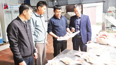 Sản phẩm thịt gà Đông Tảo của cơ sở sản xuất gia đình anh Lê Quang Thắng, xã Đông Tảo, huyện Khoái Châu được công nhận sản phẩm OCOP. 