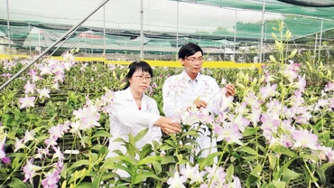 Định hình hệ sinh thái nông nghiệp bền vững 