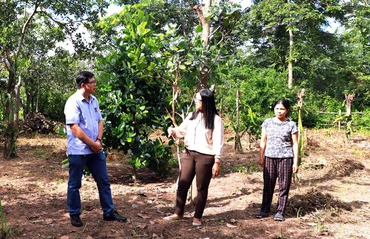  Chương trình mục tiêu quốc gia phát triển kinh tế -xã hội vùng đồng bào dân tộc thiểu số và miền núi được xem là cơ hội lớn làm thay đổi toàn diện vùng đồng bào dân tộc thiểu số và miền núi ở Đắk Lắk.