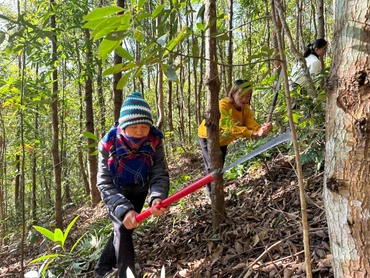 Người dân huyện Điện Biên Đông phát cây bụi phòng chống cháy rừng trong những ngày nắng nóng. 