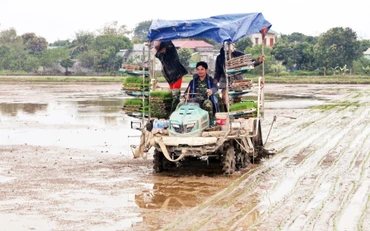 Máy cấy của Hợp tác xã dịch vụ nông nghiệp Tân Phong, thị trấn Tân Thanh, huyện Thanh Liêm. 