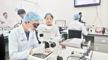 Hoạt động nghiên cứu khoa học tại Trường đại học Quốc tế, Đại học Quốc gia Thành phố Hồ Chí Minh. 