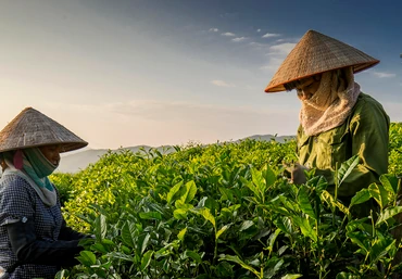 Nghệ nhân chè Việt Vũ Thị Thương Huyền: Tôi muốn xây dựng sản phẩm OCOP là những “đại sứ” truyền tải văn hóa Việt Nam!