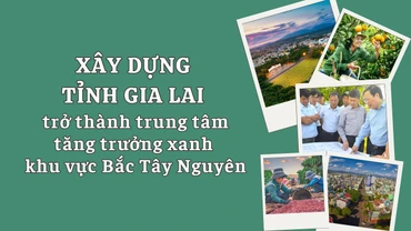 Xây dựng Gia Lai thành trung tâm tăng trưởng xanh khu vực Bắc Tây Nguyên