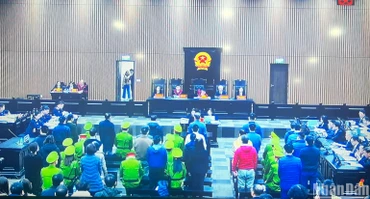 Hội đồng xét xử sơ thẩm hình sự vụ án tại Bệnh viện đa khoa Đồng Nai, Công ty cổ phần Tiến bộ, các đơn vị liên quan. (Ảnh chụp màn hình)