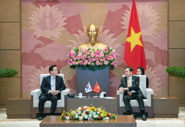 Phó Chủ tịch Thường trực Quốc hội Trần Thanh Mẫn và Phó Chủ tịch Quốc hội Hàn Quốc Chung Woo Taik tại buổi tiếp. (Ảnh: Duy Linh) 
