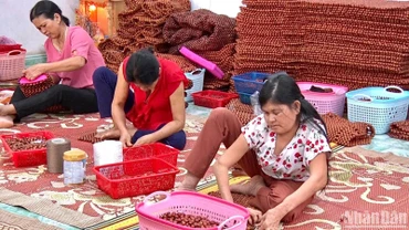 Nhiều người khuyết tật ở Ninh Bình được hỗ trợ học nghề đã vươn lên hòa nhập cộng đồng.