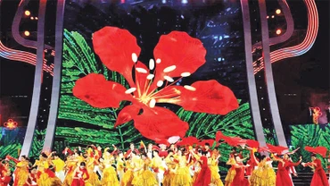 Hoa phượng đỏ - biểu tượng của thành phố Hải Phòng.