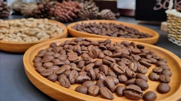 Hợp tác xã cà-phê sạch Măng Đen huyện Kon Plông, tỉnh Kon Tum tạo ra các sản phẩm cà-phê chất lượng cao. (Ảnh: DƯ TOÁN/TTXVN)