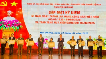 Lãnh đạo thành phố Hải Phòng trao Huy hiệu Đảng tặng các đảng viên tiêu biểu.