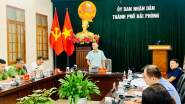 Chủ tịch thành phố Hải Phòng Nguyễn Văn Tùng phát biểu kết luận tại buổi làm việc.