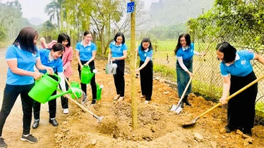 Phụ nữ thành phố Hải Phòng tổ chức trồng cây.