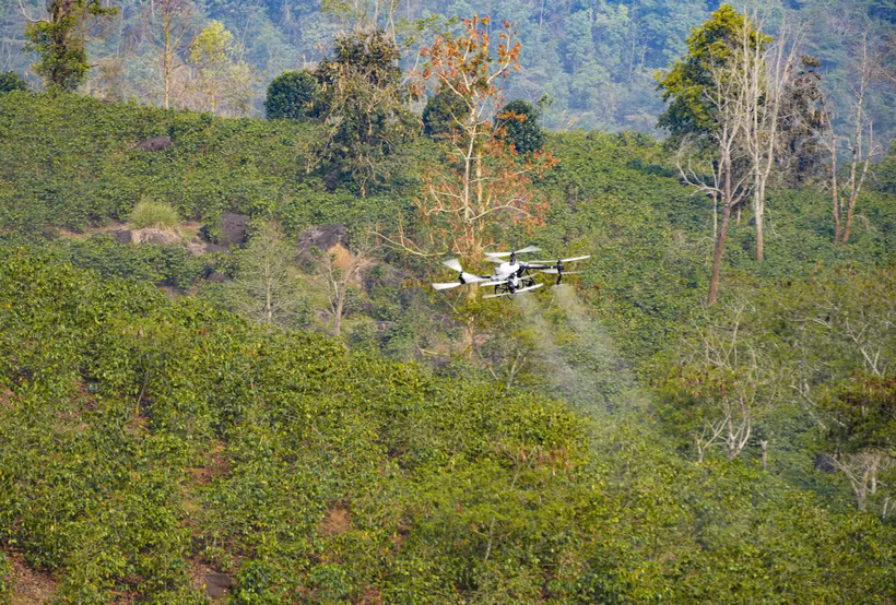 UAV do FPT và Trường Thịnh Drone thử nghiệm phun thuốc cho cây cà phê khu vực hồ Ảng Cang, bản Mánh Đanh, xã Mường Ảng, tỉnh Điện Biên. Ảnh: Xuân Tư/TTXVN