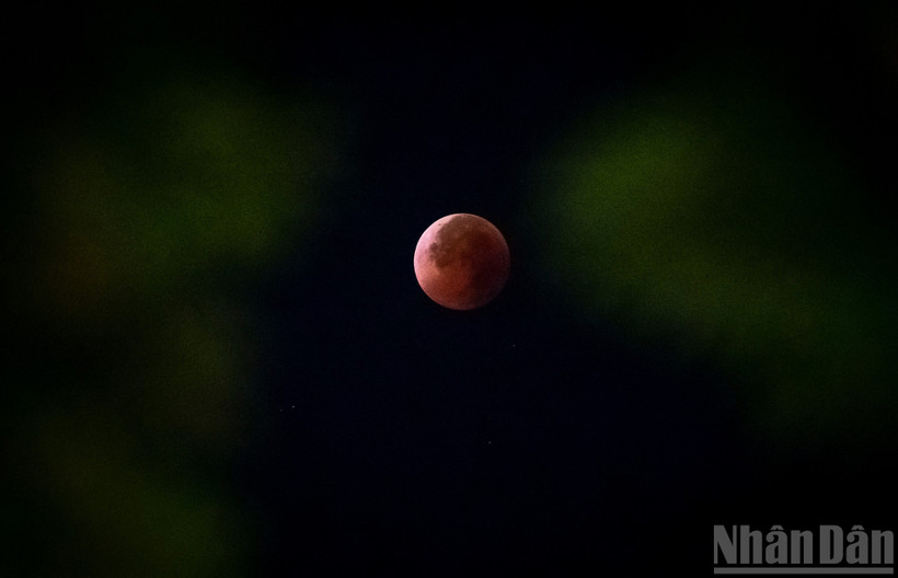 Mặt trăng sẽ có một màn “biến hình” cực kỳ ấn tượng: Thay vì sắc vàng thông thường, vệ tinh này sẽ nhuộm một màu đỏ đồng. Trong ảnh là hiện tượng nguyệt thực toàn phần, thường được gọi là “trăng máu” xuất hiện trên bầu trời Hà Nội rạng sáng 8/9/2025. Ảnh: THÀNH ĐẠT.
