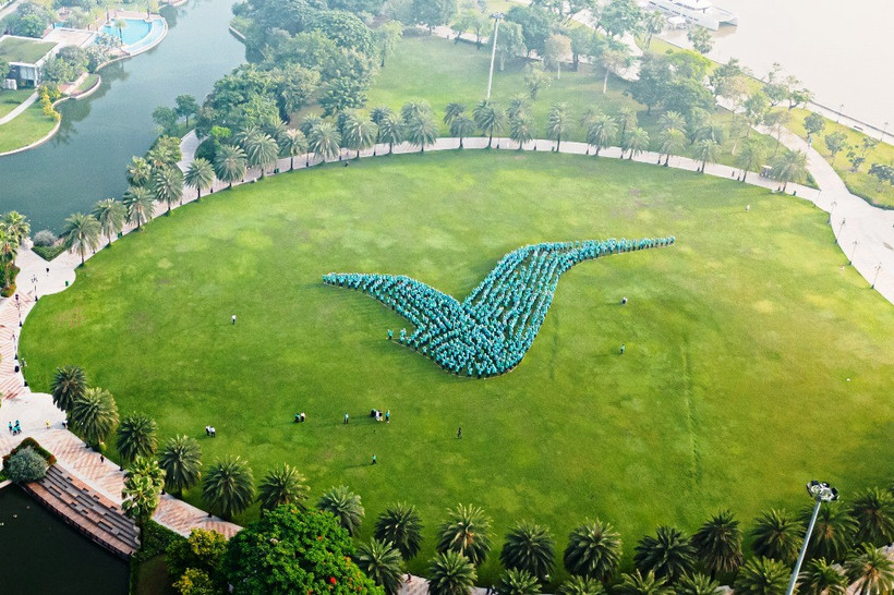 Lần đầu có ứng dụng Việt vượt 50% thị phần gọi xe công nghệ