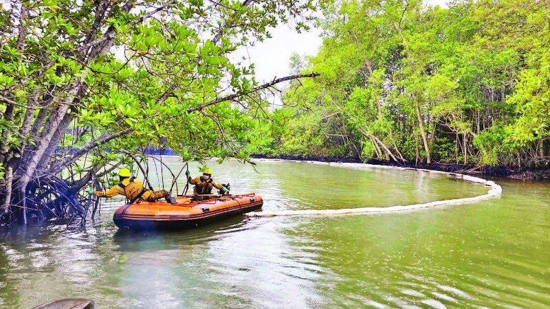 Nhân viên Trung tâm Ứng phó sự cố môi trường Việt Nam xử lý dầu loang vào rừng ngập mặn Cần Giờ.