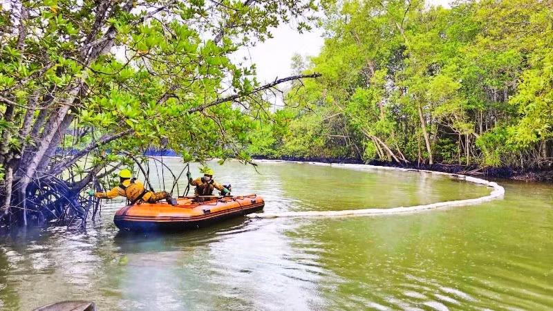 Nhân viên Trung tâm Ứng phó sự cố môi trường Việt Nam xử lý dầu loang vào rừng ngập mặn Cần Giờ.