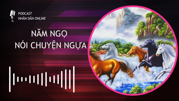 [Podcast] Năm Ngọ nói chuyện ngựa