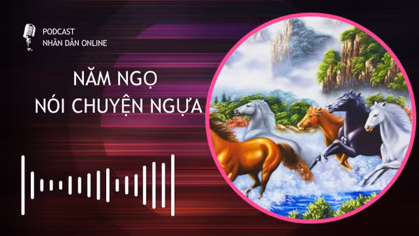 [Podcast] Năm Ngọ nói chuyện ngựa