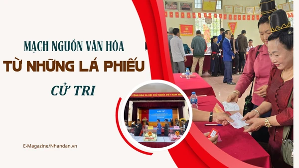 Mạch nguồn văn hóa từ những lá phiếu cử tri