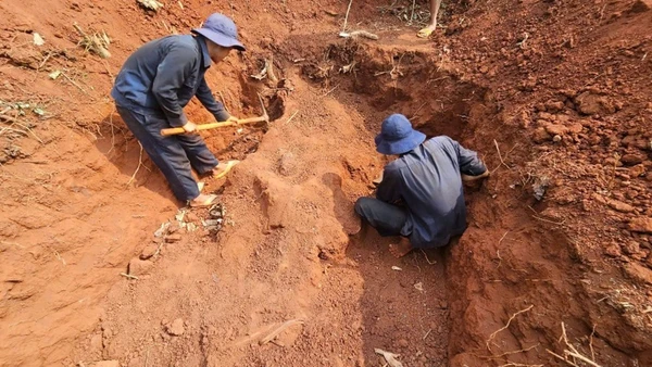 Cán bộ, chiến sĩ Đội K72 khảo sát, tìm mộ liệt sĩ tại tỉnh Kratie, Campuchia.