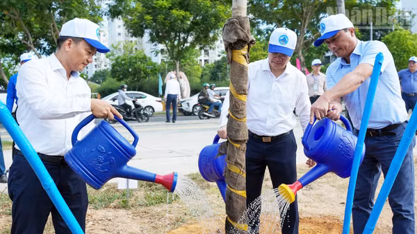 Lãnh đạo thành phố trồng cây xanh.