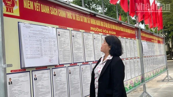 Cử tri phường Hòa Khánh đọc thông tin trên bảng niêm yết. 