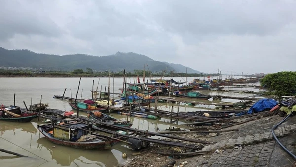 Cảng cá Hòa Lộc, xã Hoa Lộc.