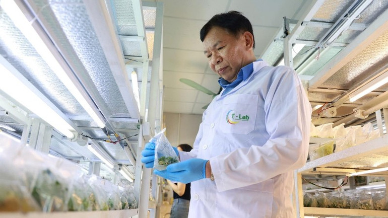 GS, TS Phạm Văn Hội, Viện Di truyền nông nghiệp (Bộ Nông nghiệp và Môi trường) được công nhận danh hiệu Nhà khoa học của nhà nông năm 2025. (Ảnh: Ban Tổ chức cung cấp) picture3-3247.jpg